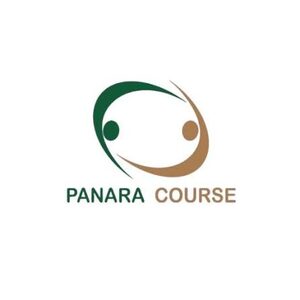 Partner 8